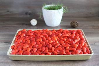 Pampered Chef Produkte online bestellen im Onlineshop