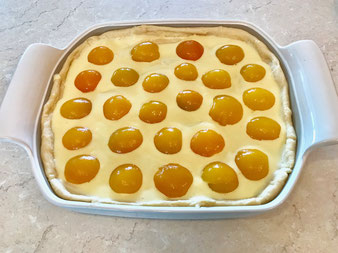 Aprikosenkuchen Streuselkuchen Hefekuchen auf dem Bäker oder Ofenzauberer von Pampered Chef online mit dem Teigroller im Onlineshop kaufen