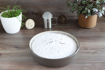 Streufix von Pampered Chef online kaufen