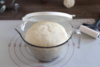 Teig gehen lassen in der großen Nixe von Pampered Chef
