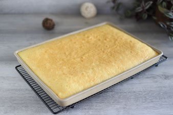 Kuchenrezept im Ofenzauberer plus James