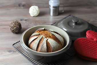 Zauberkruste im Zaubermeister oder Ofenmeister mit Packs an Silikonhandschuhen und Kuchengitter aus dem Pampered Chef Onlineshop