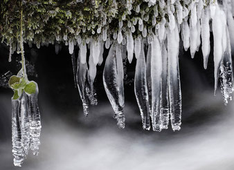 Florian Heigenhauser