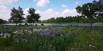水元公園