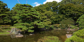 皇居東御苑 二の丸庭園
