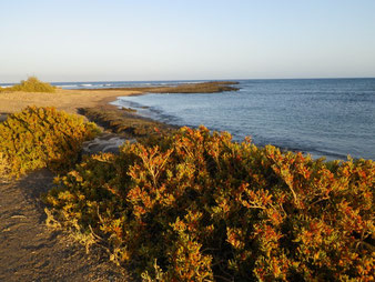 Plage lagunaire de Muellito à Las Salinas ©FredG 