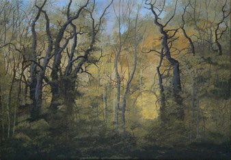 Martin Guido Becker, "Waldstück", 2008, Öl/Lwd, 70/100 cm