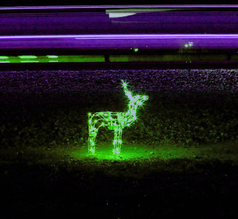 © Fotolia Adventskalender