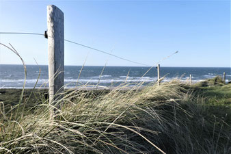 Dänemark Küste
