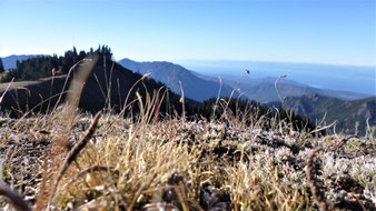 USA Nationalparks