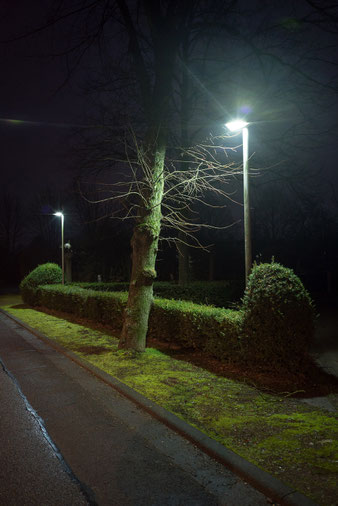 Straße mit Straßenleuchten und grüner Hecke bei Nacht. Gegenlichtverhalten des Viltrox AF 28mm f/4.5 VCM Asph ED. Foto: bonnescape.de