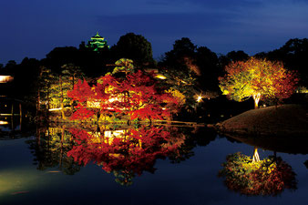 写真提供：岡山後楽園
