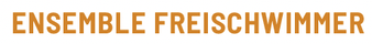 Ensemble Freischwimmer