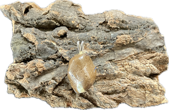 Bronzit Anhänger