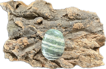 Serpentin Cyta