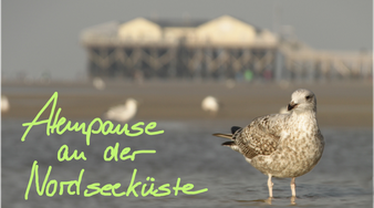 Nordsee St. Peter Ording Atem Seminar