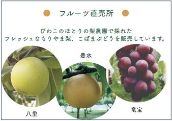 フルーツ直売所　びわこのほとりの梨園で採れたフレッシュなもりやま梨、こばまぶどうを販売しています。