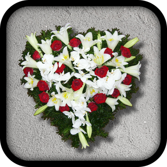 Herzen und Besonderes