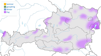 Karte zur Verbreitung des Rotschenkels in Österreich zur Zugzeit.