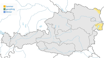 Karte zur Verbreitung des Rotschenkels in Österreich zur Brutzeit.
