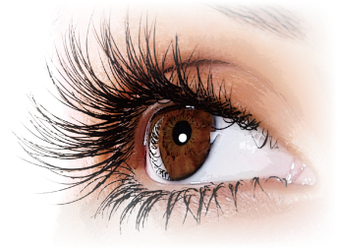 リオールシリーズからまつ毛美容液が新登場 Phバランスを考えた基礎化粧品でサロンメニューを充実