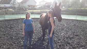 Problempferd buckeln angst beim reiten gelände