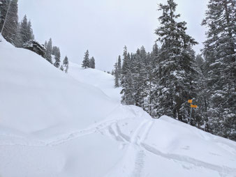 Skitour, Wildgärst, Bundspitz, Berner Oberland, Grindelwald, Rosenlaui, Schwarzwaldalp