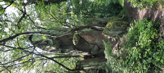 Im Märchenwald auf der Flanke des Stenzelbergs gehen wir durch verwunsche Felsformationen und Farne
