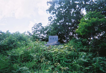 薬莱山頂上
