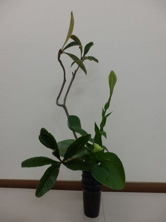 2014.8.5
