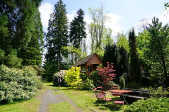 Foto: Annelie Röhm Garten in Nösperts-Weidmoos