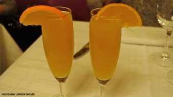 Mimosas fleuris, photo non libre de droits