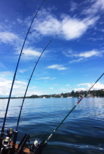 Hecht, Fischen, Seeland, Esox, Murtensee, Schleppfischen, Köder, Wobbler, Gummifischen, Fischerblog, News