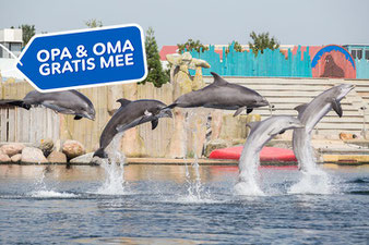 Opa en oma gratis naar de dierentuin