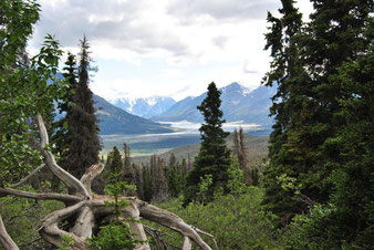 Aussicht im Kluane Nationalpark Yukon