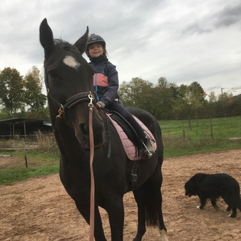 Dualini Reitunterricht Basis Kinderreiten 