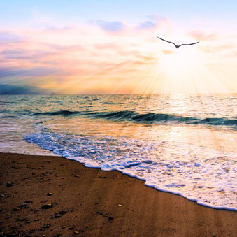 Strand mit Sonne und Vogel