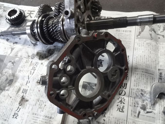 310サニー