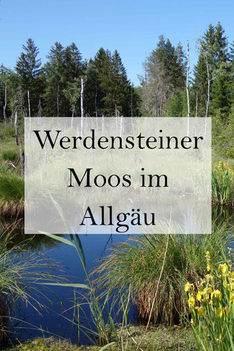 Hochmoor Werdensteiner Moos im Allgäu: Anfahrt, Parken, Wandern