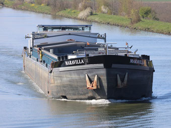 motorvrachtschip Maravilla ENI 06002882 Foto1