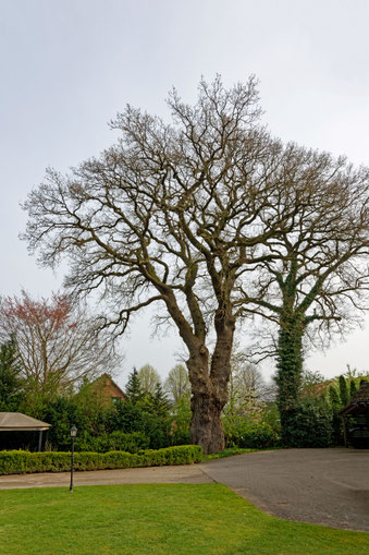 Todesfelde (BHU: 6,11 m)