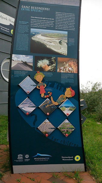 Museum im Nationalpark Wattenmeer - Foto: P.Masuch