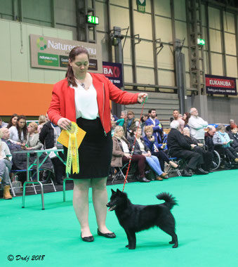 Crufts 2018
