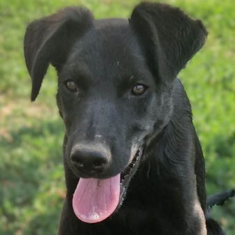 BRUNO