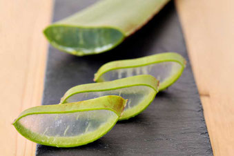 Kosmetische Gesichtsbehandlung mit Naturkosmetik Pharmos Natur bei SURYANI in Niederrohrdorf