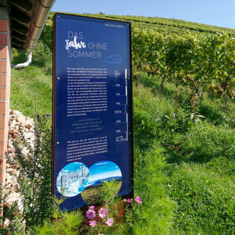 Thementafel Wein-Themenweg Großheppach