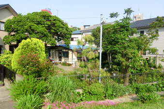 晴れた日の塾。初夏らしく木々が茂っています。