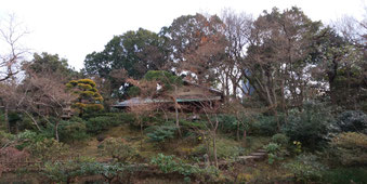 根津美術館