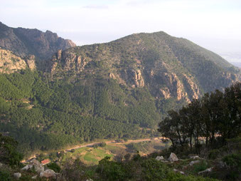 mont'e Omu visto da Cùcuru Frissa - 23 mar 2007