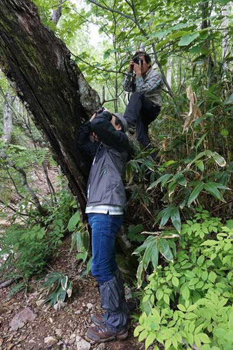 怪しい植物を観察するＮさん(奥)とＯさん (Ken撮影)